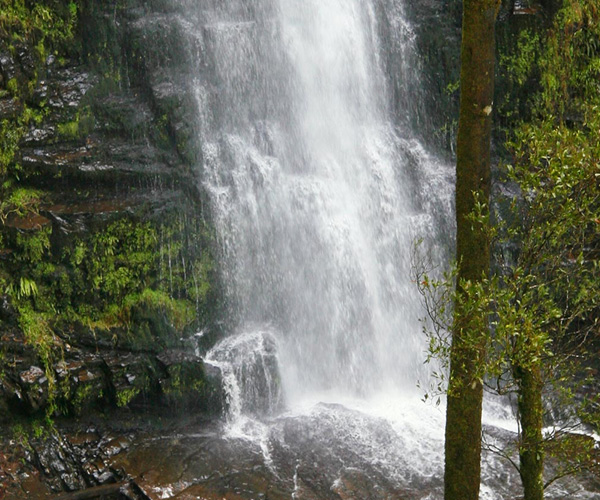 Erskine Falls