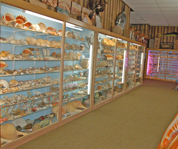 Griffiths Sea Shell Museum