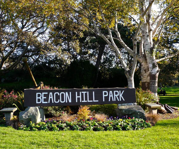 Beacon Hill Park