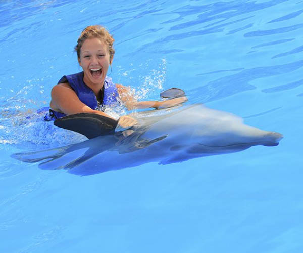 Dolphin Signature Swim and Arch Fast-Boat Adventure