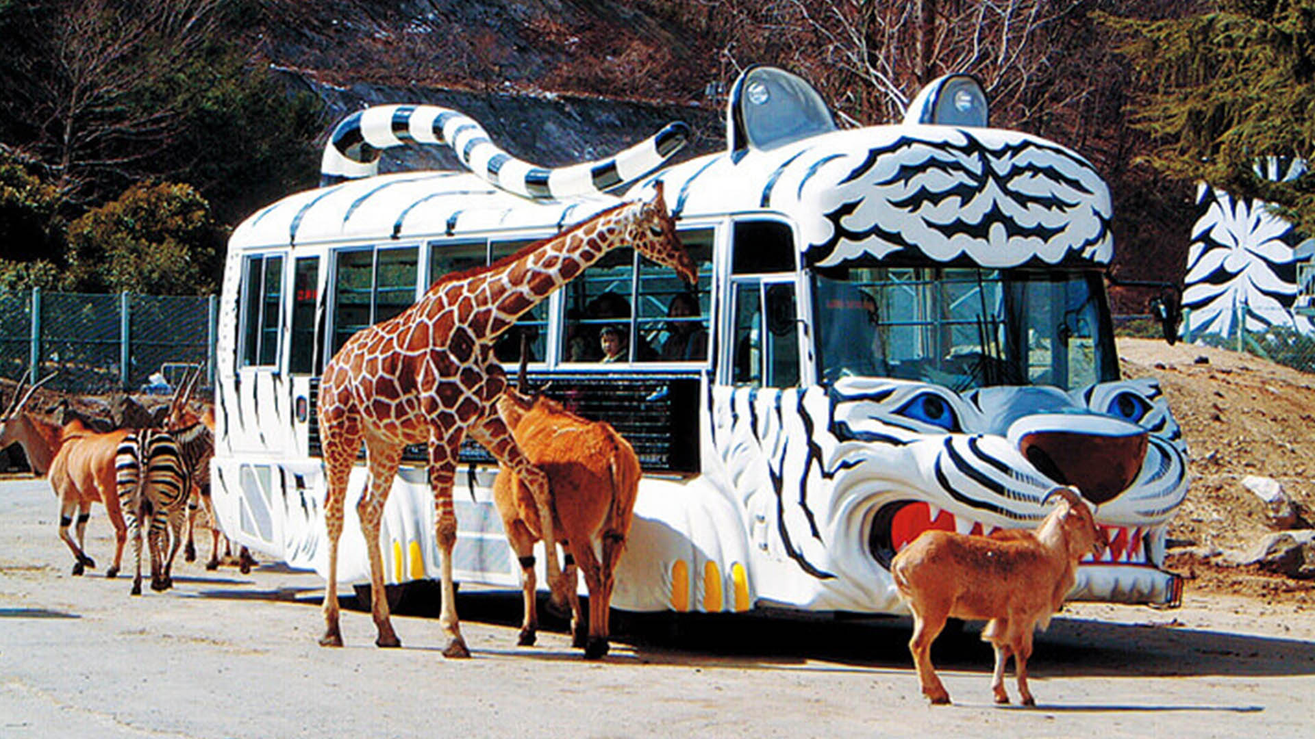 amusement park in gunma safari park