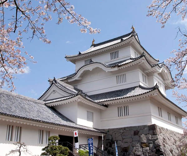 Ōtaki Castle
