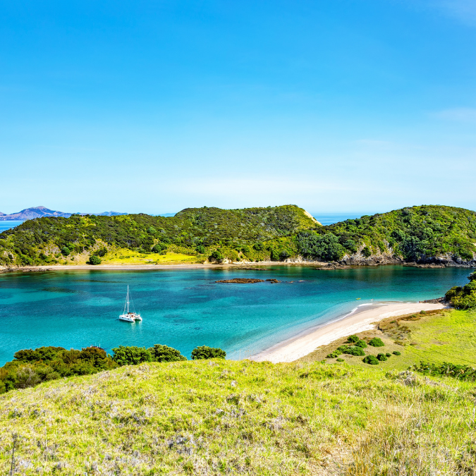 Resort Report Paihia section