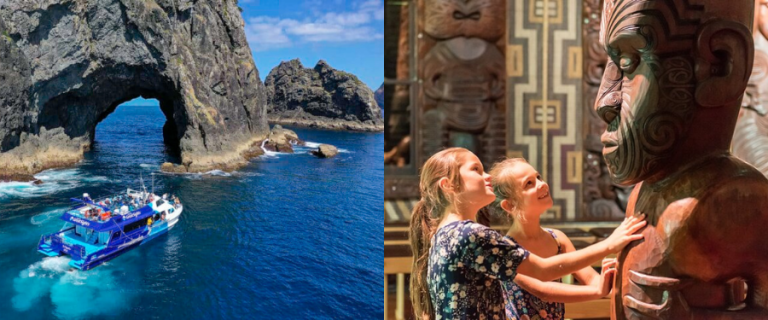 Resort Report Paihia to do section