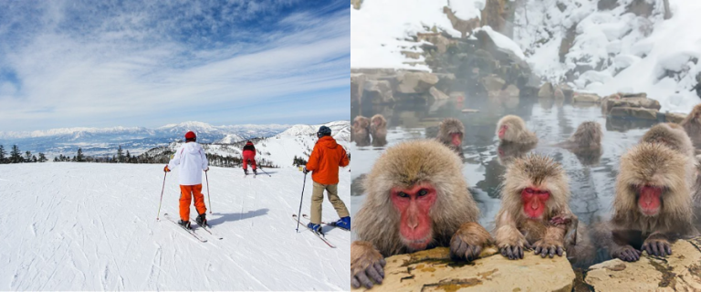 Resort Report Shirakabaso section