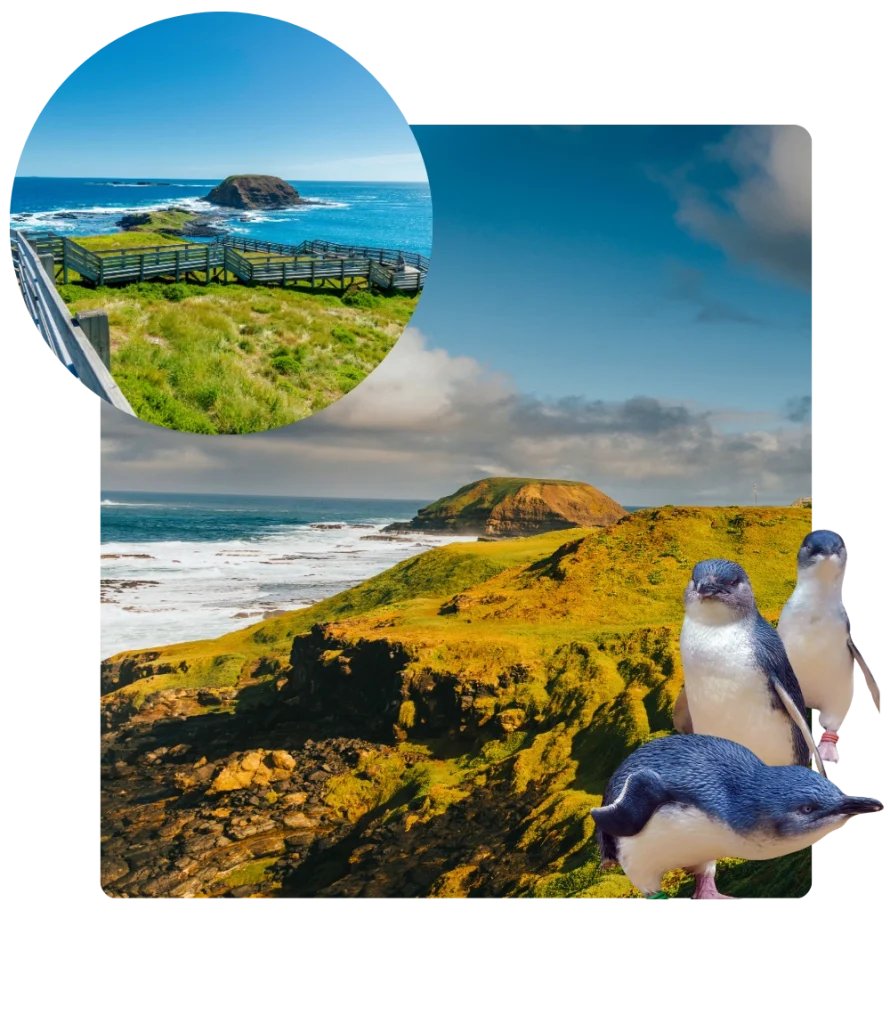 Club Wyndham Phillip Island