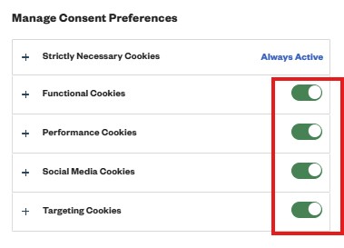 Cookie settings options turned on