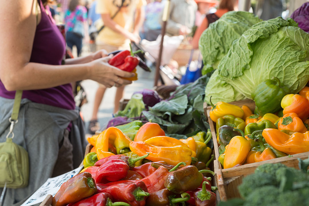 Woman browsing vegetables at Churchill Island Farmers’ Market