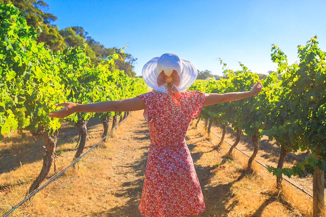 Girl in summer dress standing between vines at Juniper Estate Winery