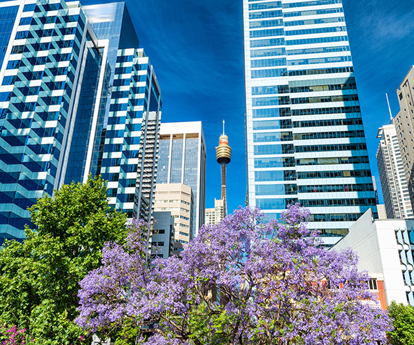 Sydney Tower Eye and Skywalk