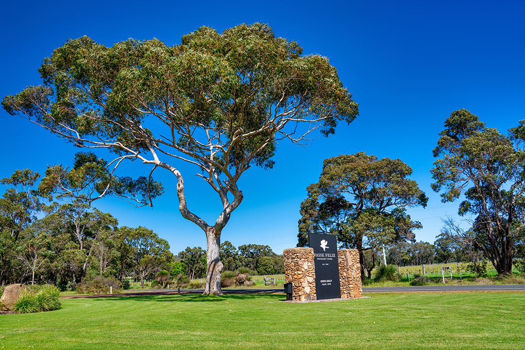 Vasse Felix Dunsborough Winery