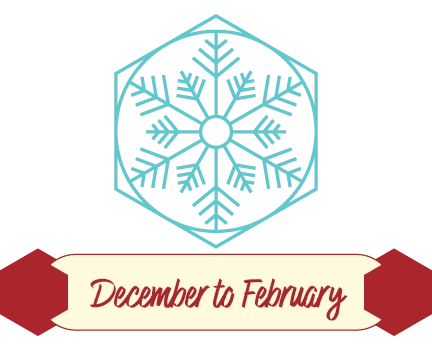 Winter-Icon-Season