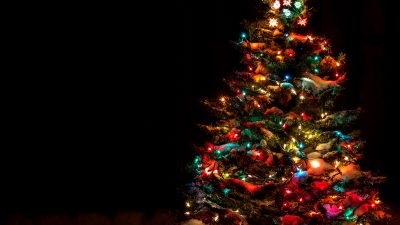 Snow Covered Christmas Tree with Multi Colored Lights